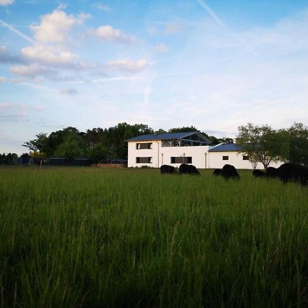 Landhaus Kirchberg Nardt Ngoại thất bức ảnh